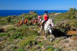 Katalonische Küste & Spanische Pferde Sommertrail 01