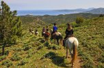 Katalonische Küste & Spanische Pferde 07