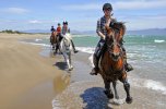 Katalonische Küste & Spanische Pferde 08