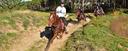 Relaxing canter on Spanish horses