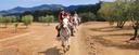 Canter horse riding vacation Spain