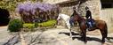 Natural stone villages Spanish horses Catalonia