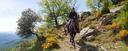 Catalonian Pyrenees on horseback
