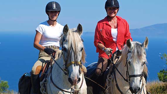 Katalonische Küste & Spanische Pferde