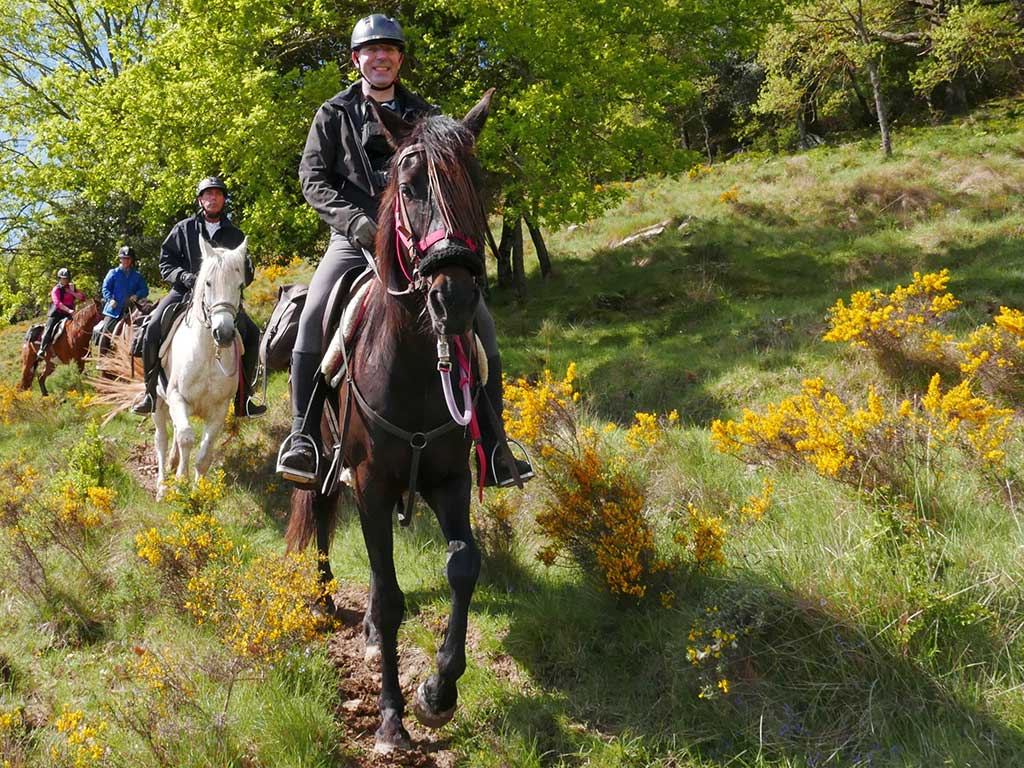 Pferde suchen ein Zuhause - Panorama-Trails