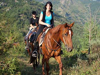 trail riding tack