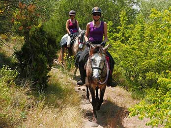 trail riding tack