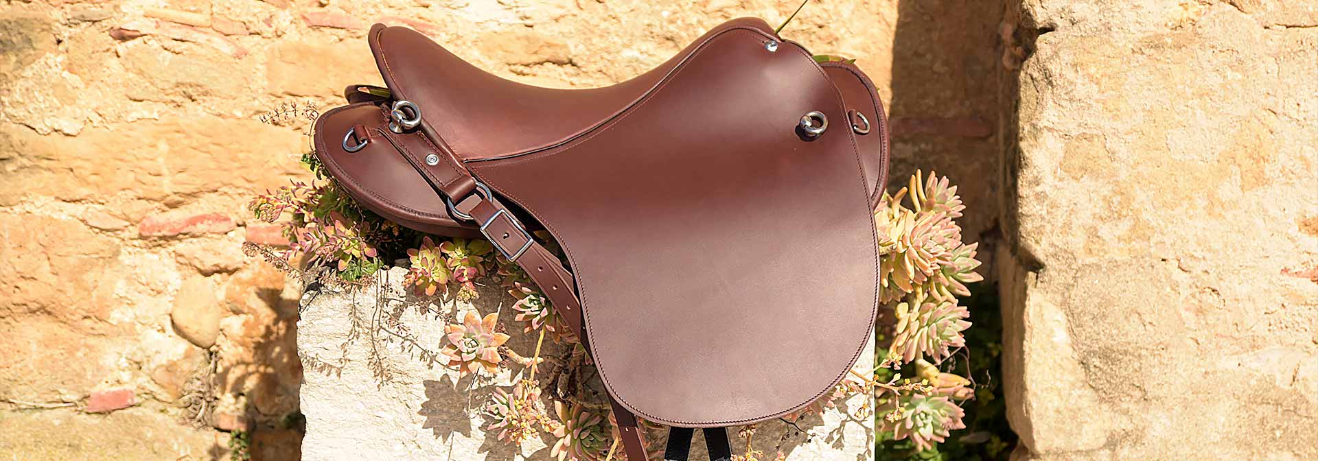 Top saddle Spain Germany