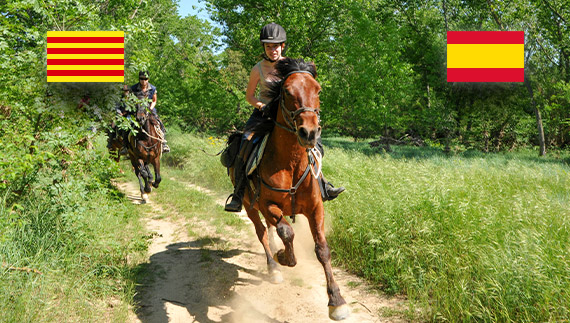 riding equipment