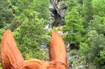 View from horseback toward a mountain river through the trees during a trail riding holiday