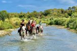 Group of trail riders crossing a river on horseback on a warm summer day in the mountains