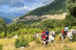 Group of trail riders riding uphill across a mountain meadow with forested Pyrenees in the background