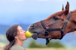 Young rider sharing an apple with her horse during a peaceful horseback riding holiday in the mountains