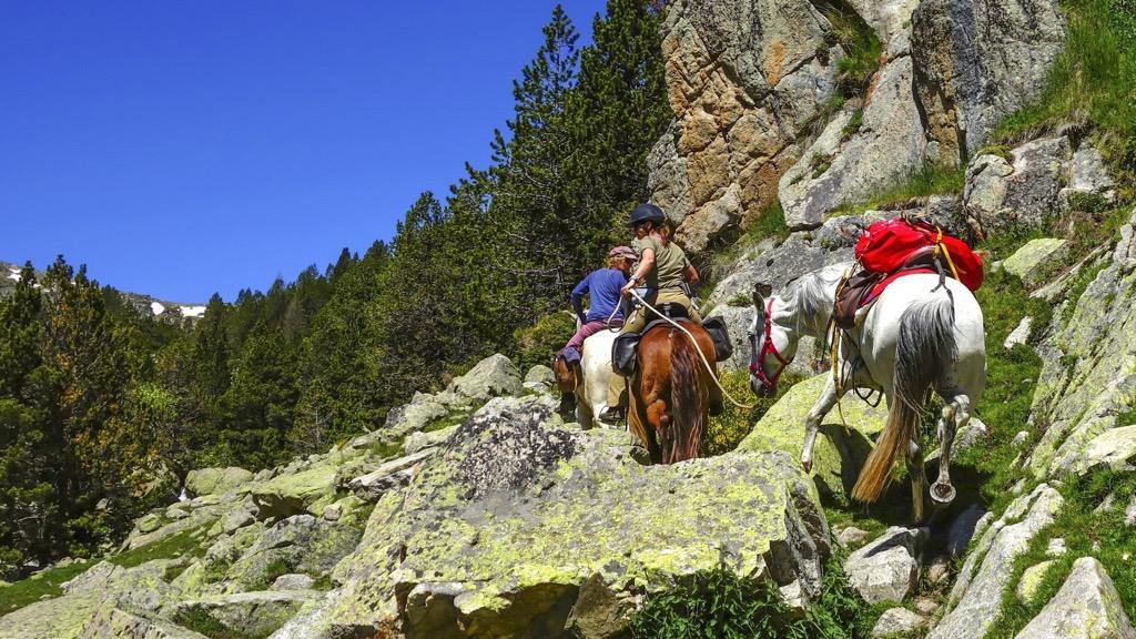 Andorra Trail - “Unter Geiern” 10