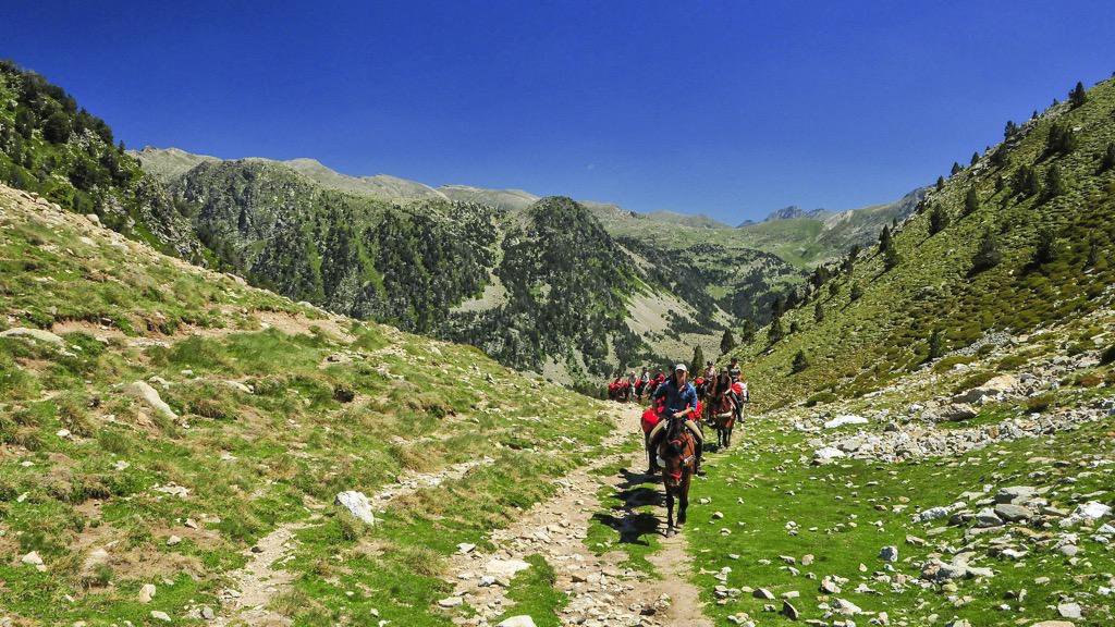 Andorra Trail - “Unter Geiern” 15