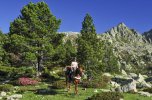 Andorra Trail - “Unter Geiern” 12