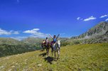 Andorra Trail - “Unter Geiern” 13