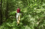 Andorra Trail - “Unter Geiern” 04