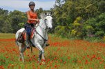 Catalan Coast & Spanish Horses 05