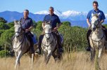 Catalan Coast & Spanish Horses 06