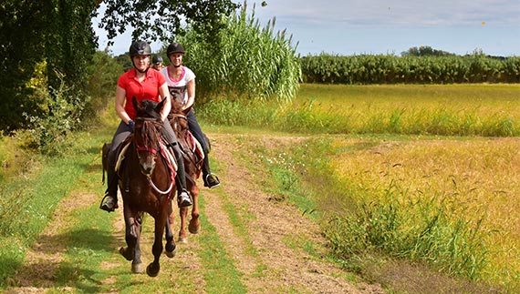 Canter gallop fields forest meadows Spain