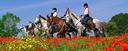 Enjoy Catalonian landscape on horseback