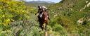 Enjoy trail ride Catalonia