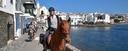Beautiful Catalan coastal towns Andalusian horses