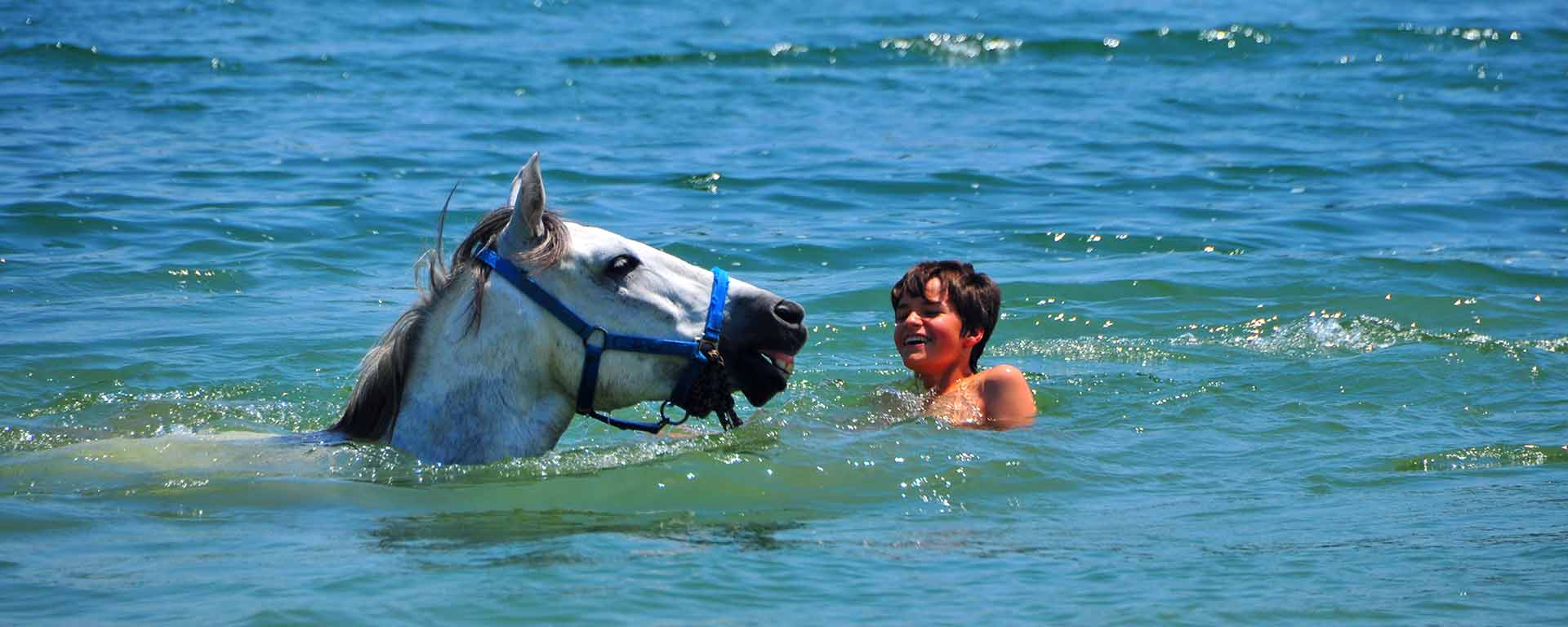  Cataluña a caballo - Nadar con caballos