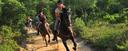 Catalonian cork oak forests on horseback