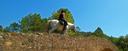 Riding on ancient paths in Spain