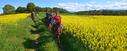 Beautiful flowers on horseback Spain