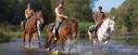 River crossing adventure on Spanish horses