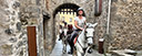 Horse riding for outdoor enthusiasts Catalonia