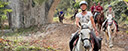 France Costa Brava horses