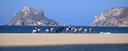 Reiten am Strand in Katalonien