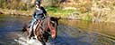 Horse playing in water Catalonia