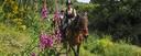 Horse riding vacation Barcelona Girona