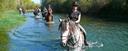 Den katalanischen Fluss Fluvia auf dem Pferderrücken durchqueren
