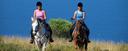Andalusische Pferde am Mittelmeer reiten