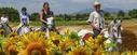 Catalonian countryside on horseback