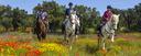 Girona Barcelona horse riding holiday