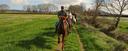Discover northern Spain on horseback