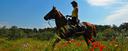 Trail ride unique landscape Catalonia