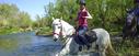 Ride through water Andalusian horse