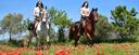 Getaway on horseback Girona Barcelona