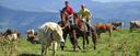 Horse riding for cowboys Spain