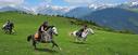 Gallop in Pyrenees