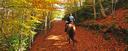 Trail ride autumn Catalonia
