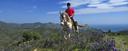 Amazing views horses Mediterranean Sea